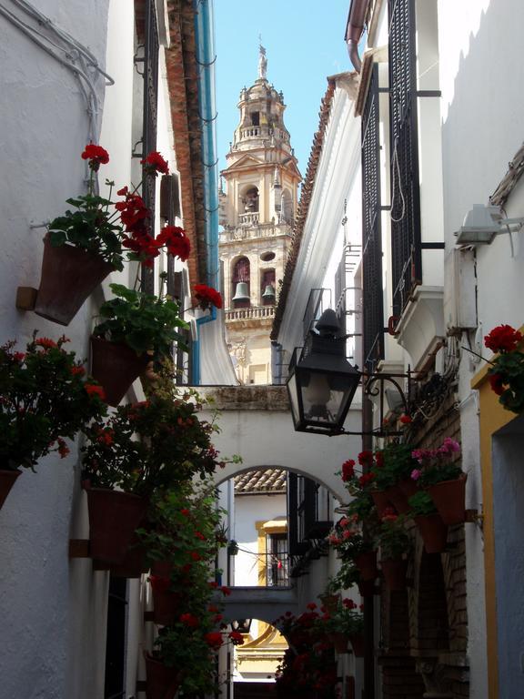 Casa Patio De Los Arcos Holiday home
